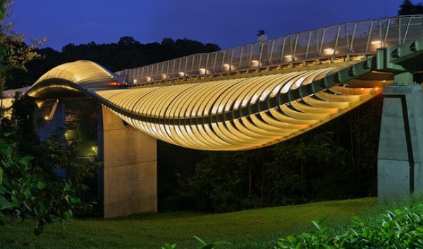 Puente peatonal Henderson Waves en Singapur